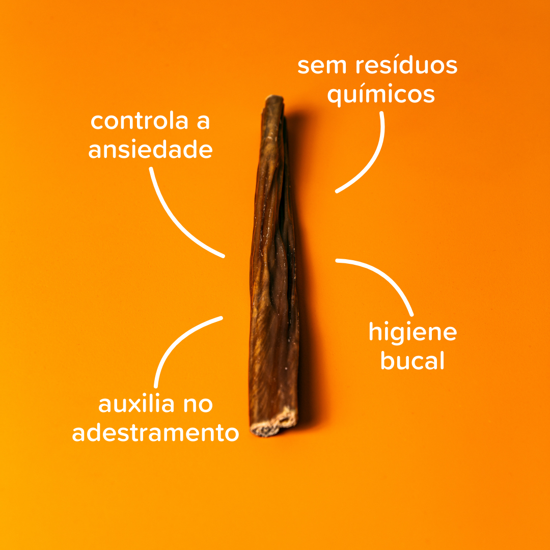 Bexigueta Natty Chews - 5 Un Bexiga Bovina