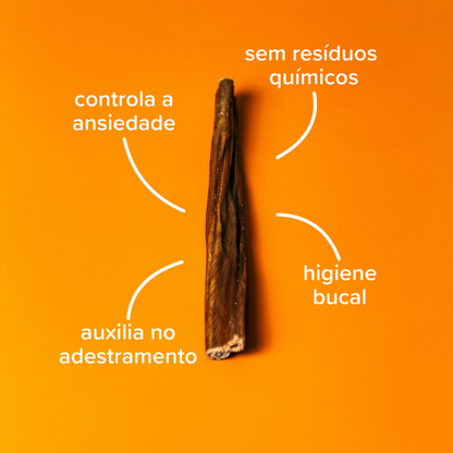 Bexigueta Natty Chews - 5 Un Bexiga Bovina